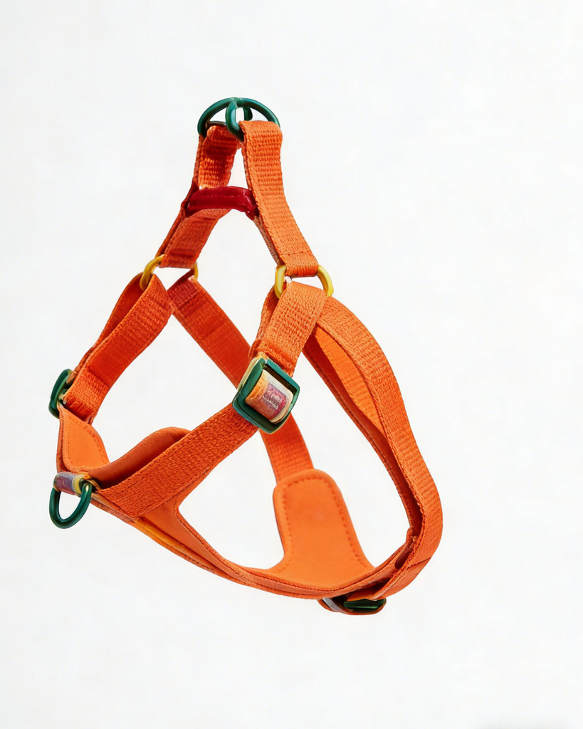 Bright Orange Pet Harness