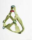 Light Green H-Style Harness