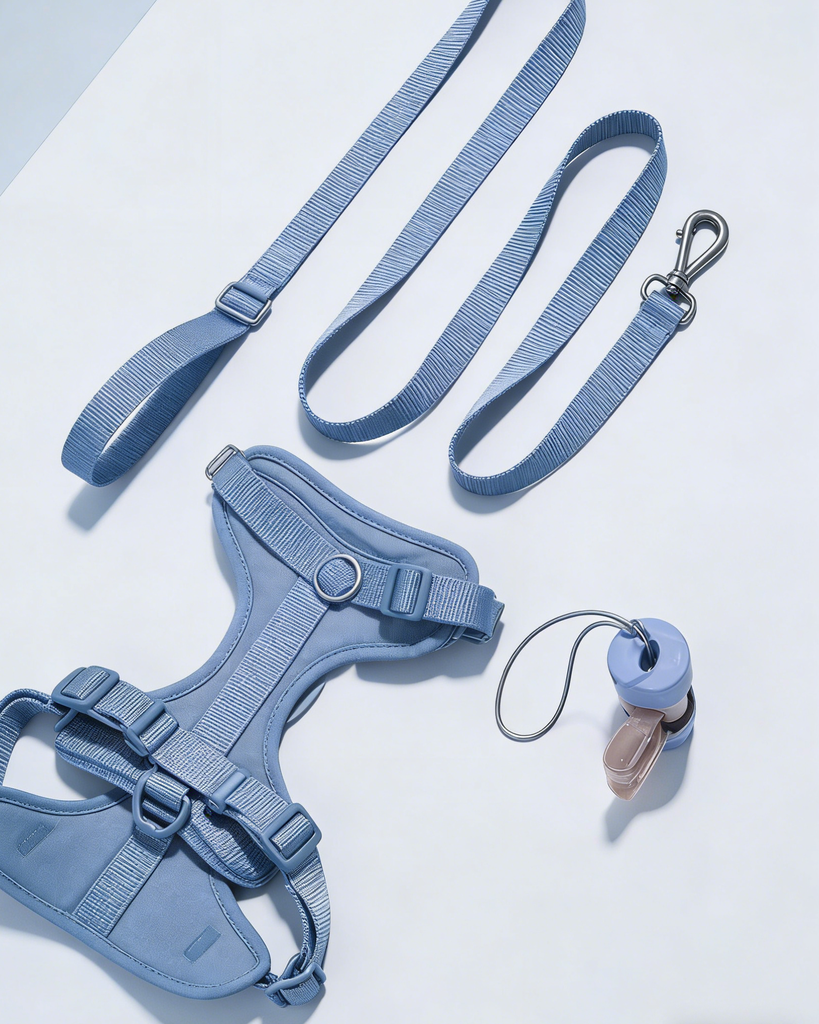 Light Blue Pet Travel Set