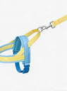 Sky Blue Yellow Colorblock Pet Harness