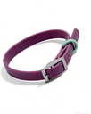 Modern Simple Dark Purple Collar