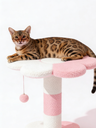 Cat Tree - No.5