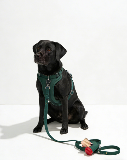 Dark Green Pet Harness Leash Set