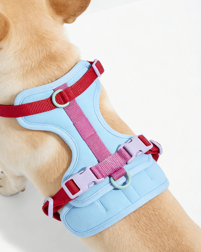 Light Blue Colorblock Pet Harness